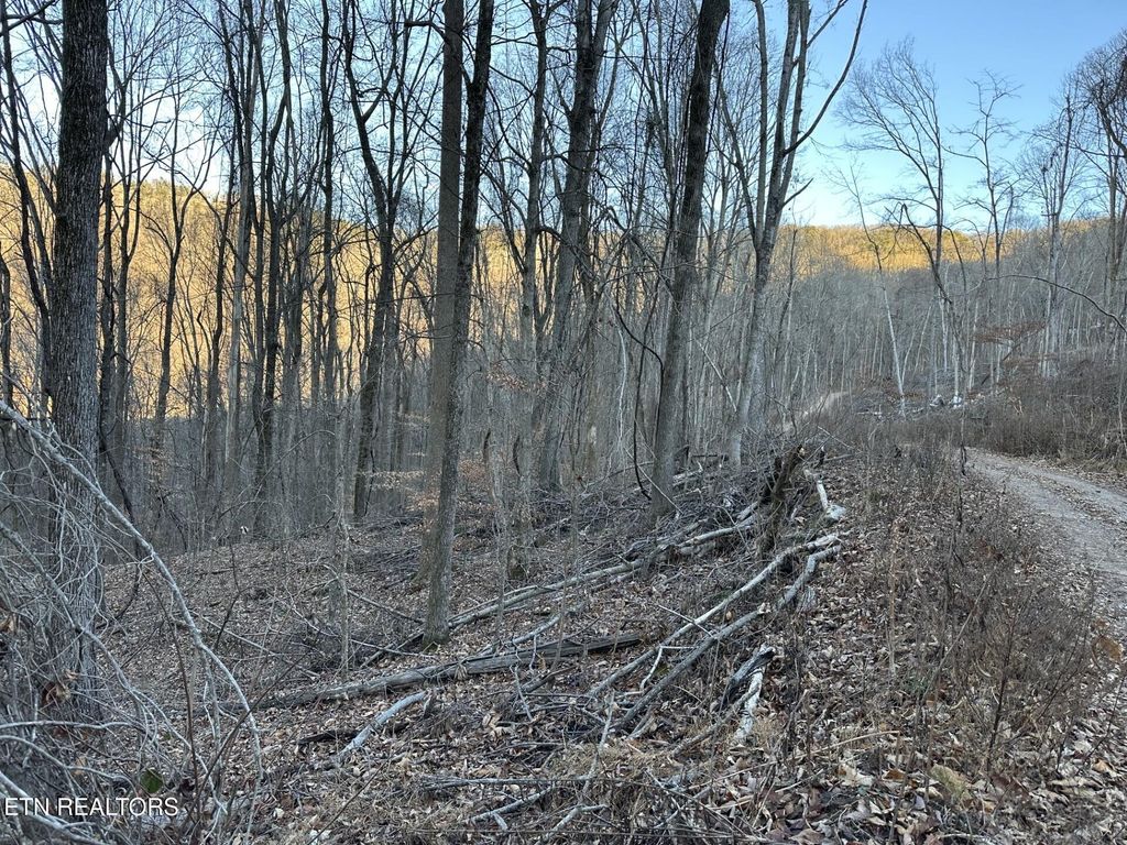 Photo of 00 Stone Ridge Road, Pikeville, TN 37367 (MLS # 1326169)