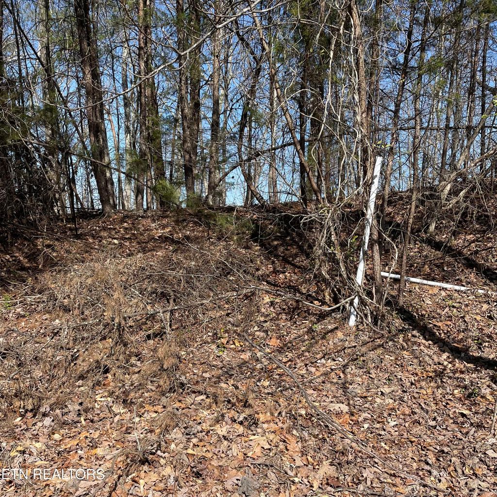 Photo of TBD Griffitts Keep Court, Greenback, TN 37742 (MLS # 1256063)