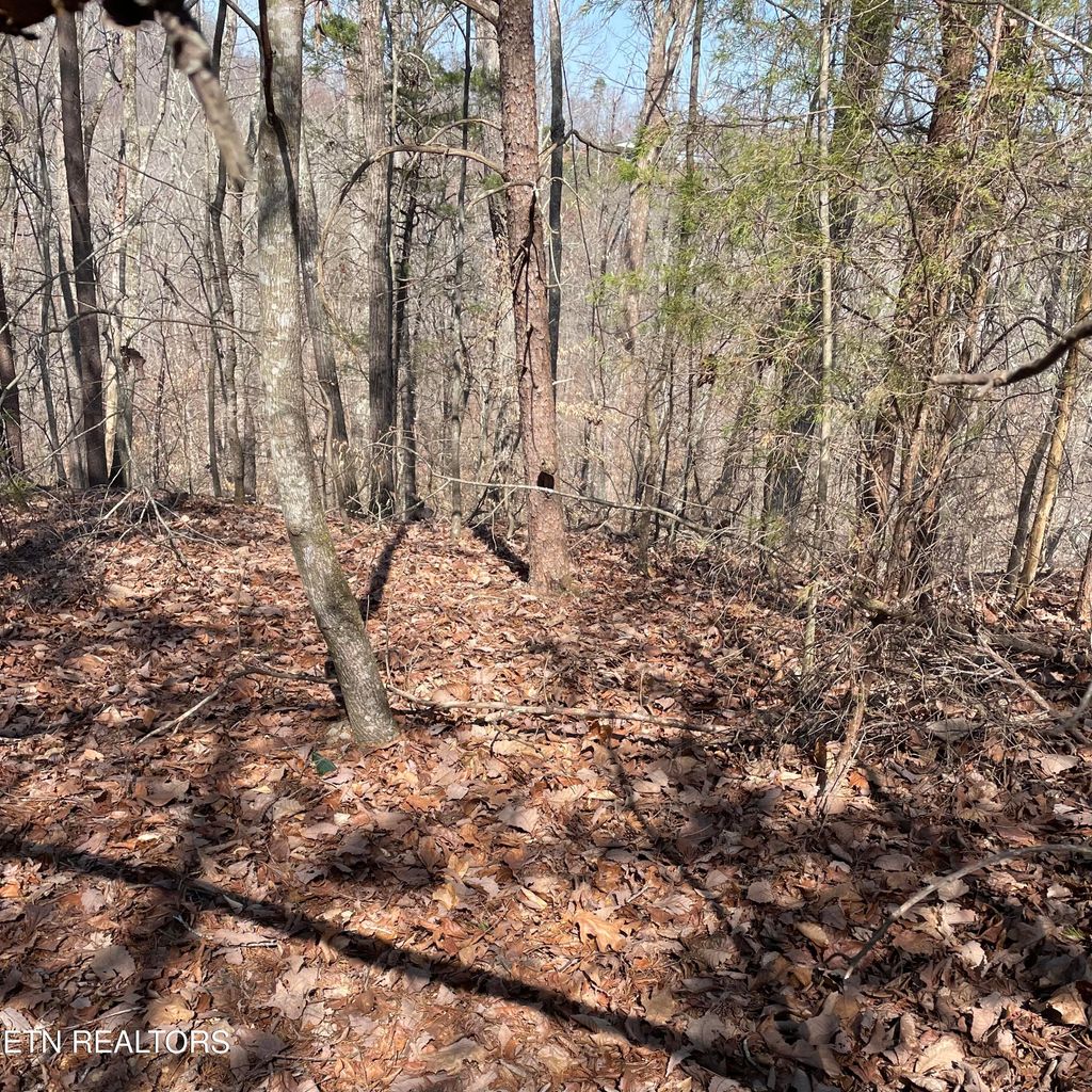 Photo of TBD Griffitts Keep Court, Greenback, TN 37742 (MLS # 1256063)