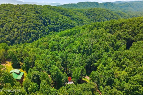 Tiny photo for 760 Boone Acres Lane, Pigeon Forge, TN 37863 (MLS # 1347990)