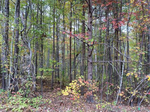 Photo of 122 Acres Chuck Wagon Tr, Grimsley, TN 38565 (MLS # 1319868)