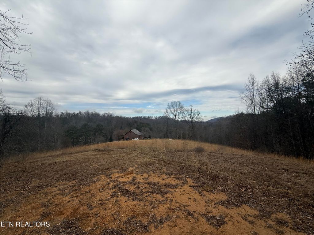 Photo of 2675 Timberlake Drive, Cosby, TN 37722 (MLS # 1327337)