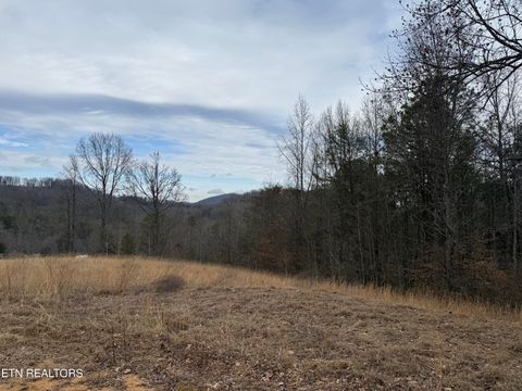 Tiny photo for 2675 Timberlake Drive, Cosby, TN 37722 (MLS # 1327337)