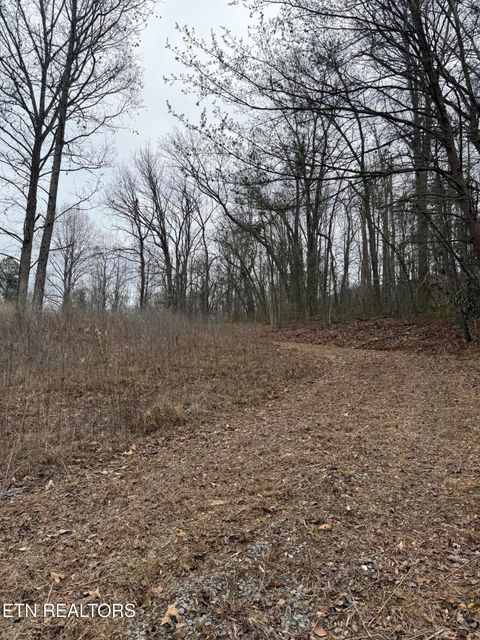 Tiny photo for 2675 Timberlake Drive, Cosby, TN 37722 (MLS # 1327337)