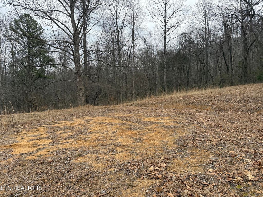 Photo of 2675 Timberlake Drive, Cosby, TN 37722 (MLS # 1327337)