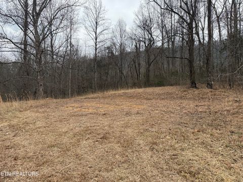 Tiny photo for 2675 Timberlake Drive, Cosby, TN 37722 (MLS # 1327337)