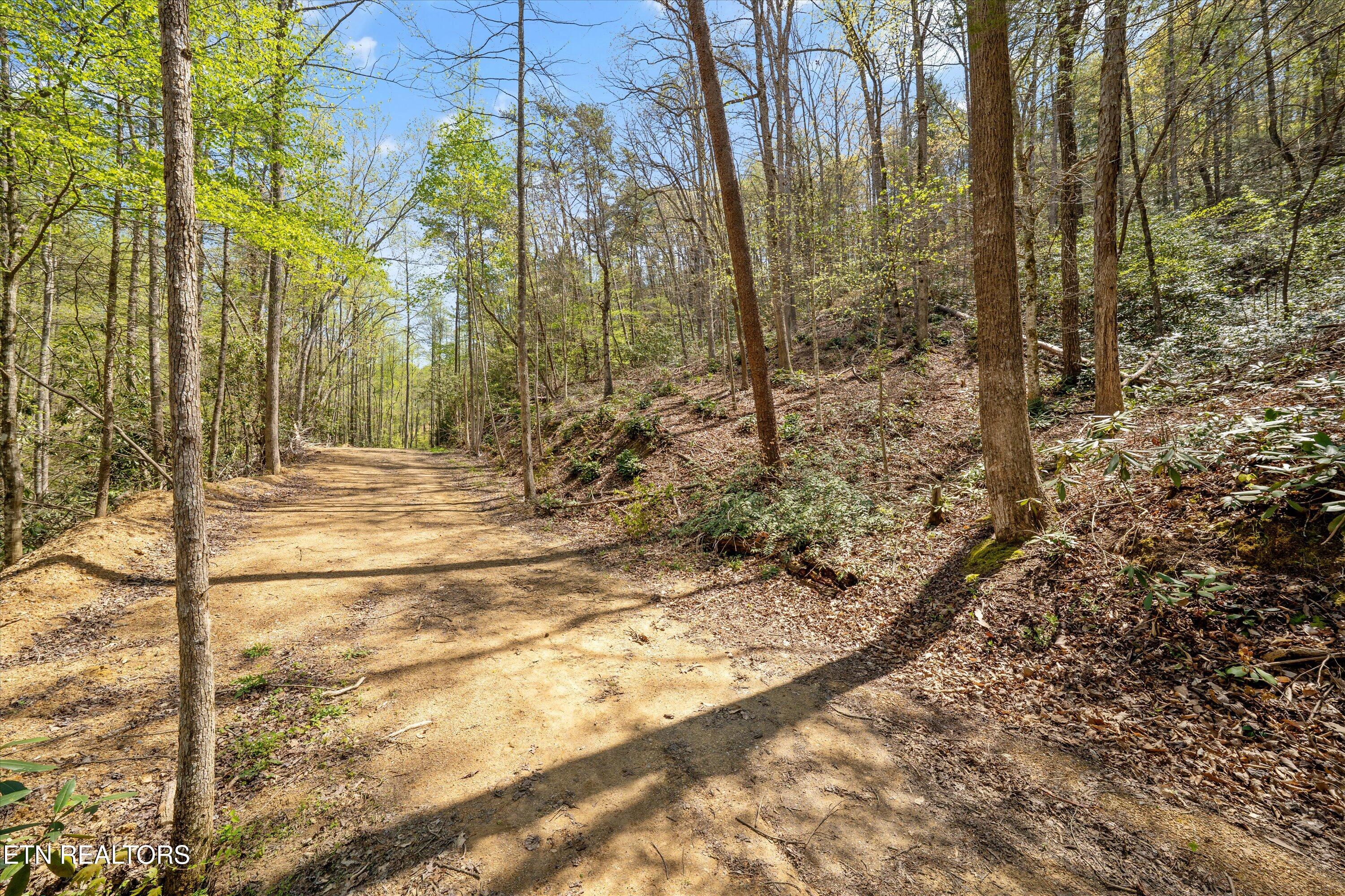 Lot 142 Fir Drive
