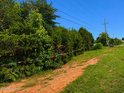Tiny photo for 69976989 W Andrew Johnson, 111 Britton Hwy, Talbott, TN 37877 (MLS # 1350170)