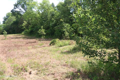 Tiny photo for 2 N Nopone Valley Rd, Decatur, TN 37322 (MLS # 1342561)