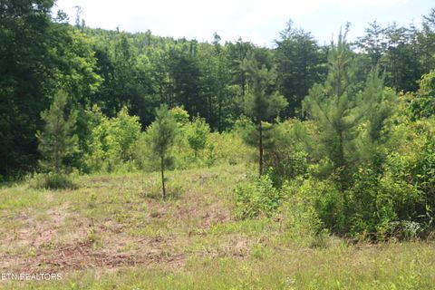 Tiny photo for 2 N Nopone Valley Rd, Decatur, TN 37322 (MLS # 1342561)