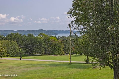 Tiny photo for 161 S Hillcrest Drive, Spring City, TN 37381 (MLS # 1315038)