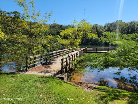 Tiny photo for 161 S Hillcrest Drive, Spring City, TN 37381 (MLS # 1315038)