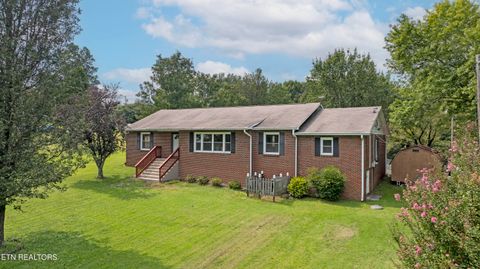 161 S Hillcrest Drive Spring City TN 37381