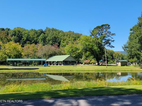 Tiny photo for 161 S Hillcrest Drive, Spring City, TN 37381 (MLS # 1315038)