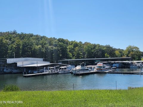 Tiny photo for 161 S Hillcrest Drive, Spring City, TN 37381 (MLS # 1315038)