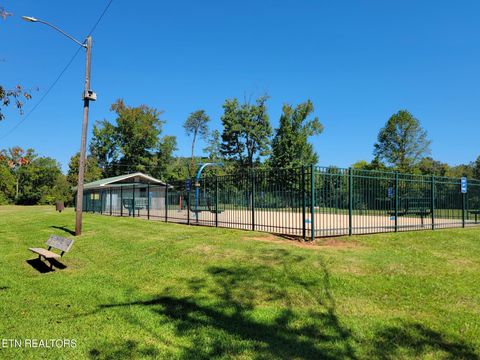 Tiny photo for 161 S Hillcrest Drive, Spring City, TN 37381 (MLS # 1315038)