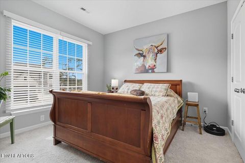 Tiny photo for 214 Clover Meadow Lane, Maryville, TN 37801 (MLS # 1317797)