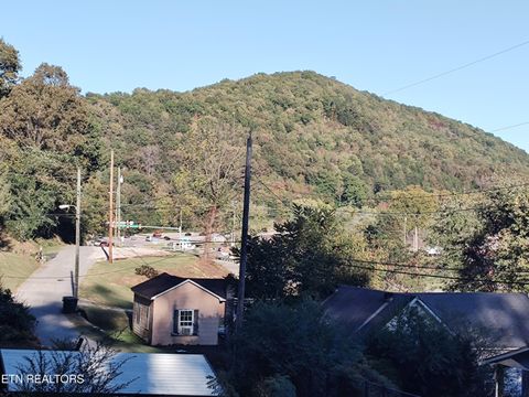 Tiny photo for 414 Hen Valley Rd, Oliver Springs, TN 37840 (MLS # 1318968)