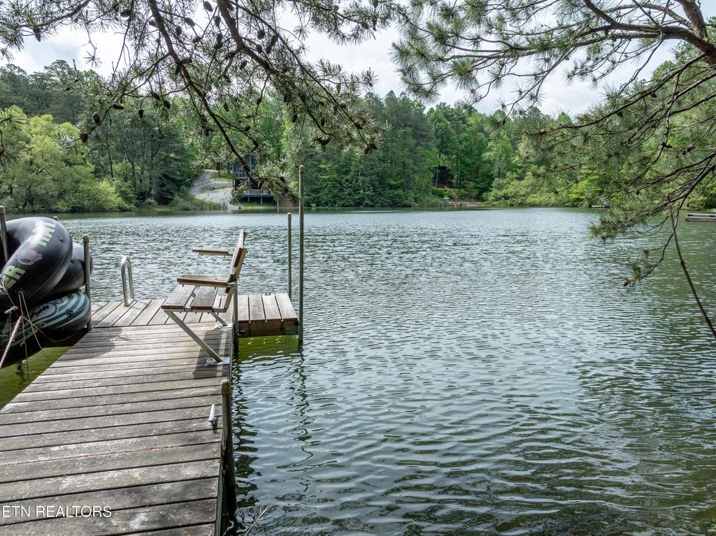 Photo of 6163 Sandy Stand Rd, Tallassee, TN 37878 (MLS # 1325406)