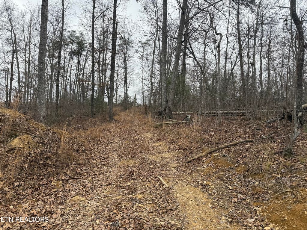 Photo of 322 Deck Rd, Crossville, TN 38572 (MLS # 1324812)