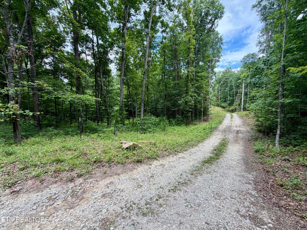 Photo of 402 Paradise Lane, Deer Lodge, TN 37726 (MLS # 1350623)