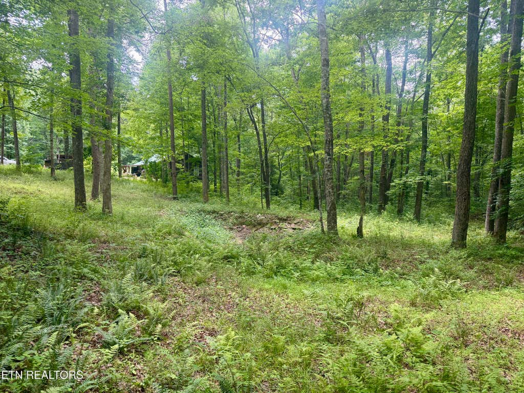 Photo of 402 Paradise Lane, Deer Lodge, TN 37726 (MLS # 1350623)