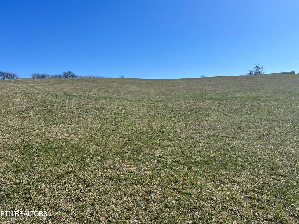 Photo of 8 Schertz Lane, Rutledge, TN 37861 (MLS # 1251625)
