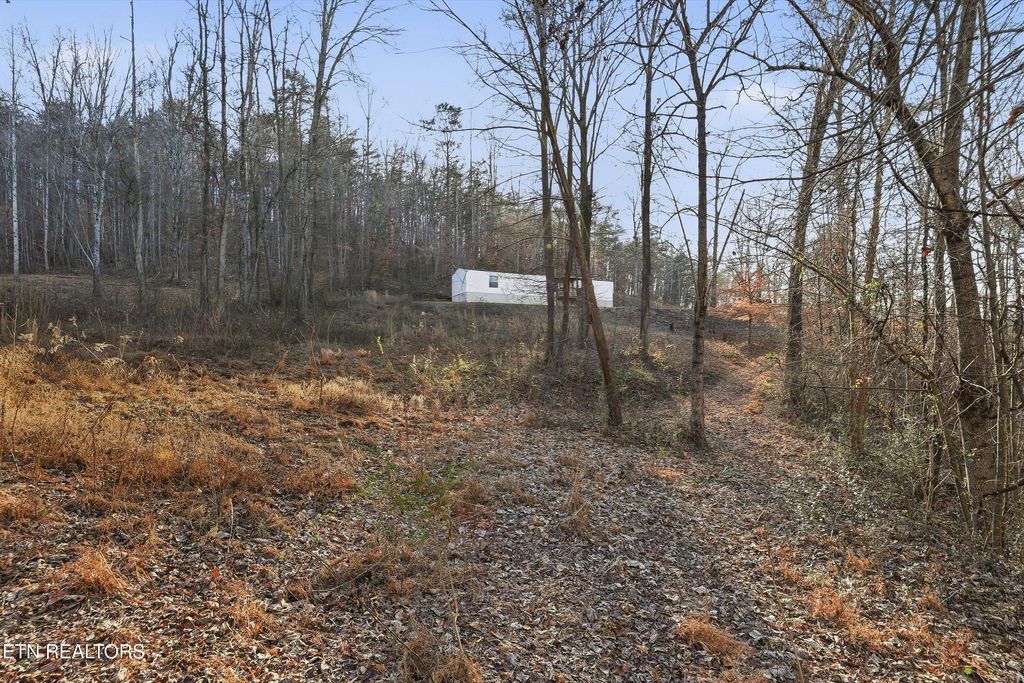 Photo of 574 Peach Orchard Rd, Andersonville, TN 37705 (MLS # 1325134)