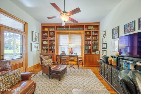 Tiny photo for 1015 Luttrell Street St, Knoxville, TN 37917 (MLS # 1313143)