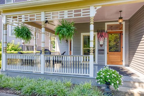 Tiny photo for 1015 Luttrell Street St, Knoxville, TN 37917 (MLS # 1313143)