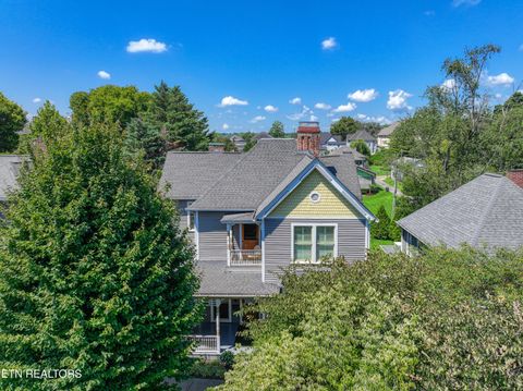 Photo of 1015 Luttrell Street St, Knoxville, TN 37917 (MLS # 1313143)