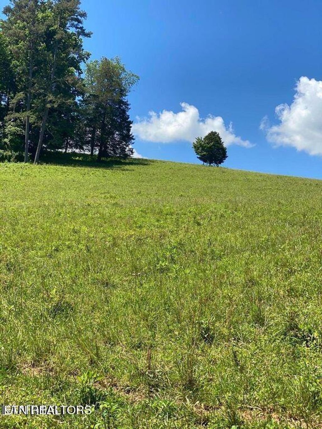 Photo of 10 Chapman Rd, LaFollette, TN 37766 (MLS # 1248177)
