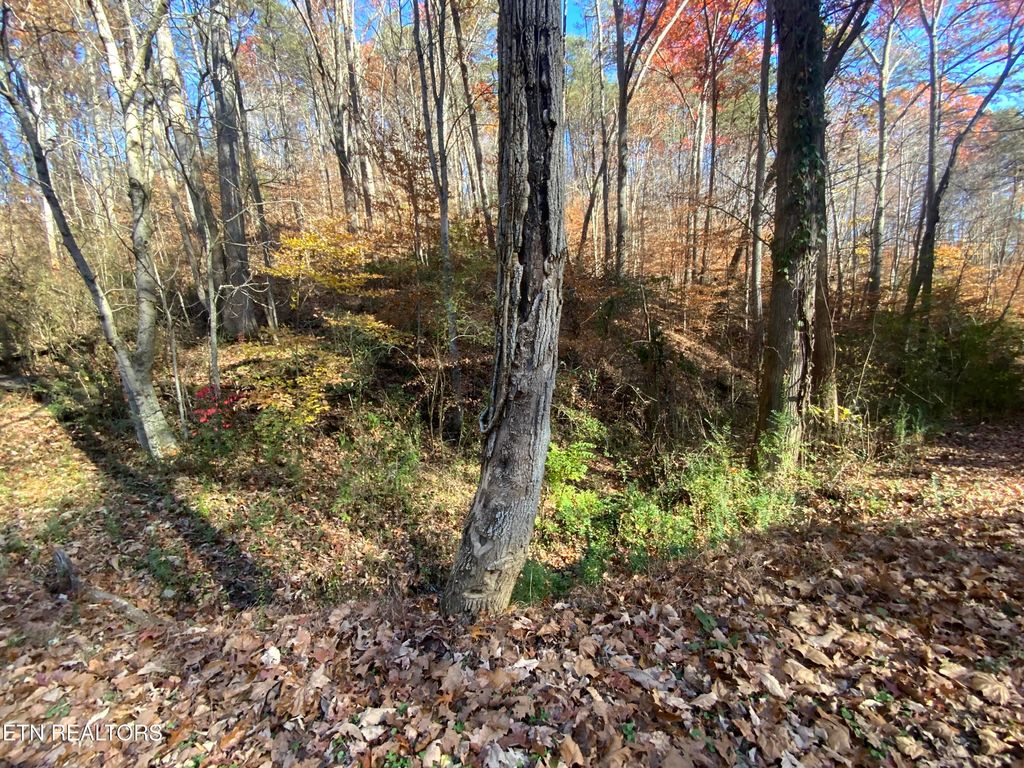 Photo of Mountain Side Lane, Rocky Top, TN 37769 (MLS # 1322039)