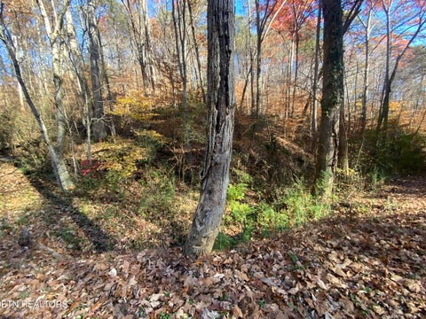 Tiny photo for Mountain Side Lane, Rocky Top, TN 37769 (MLS # 1322039)