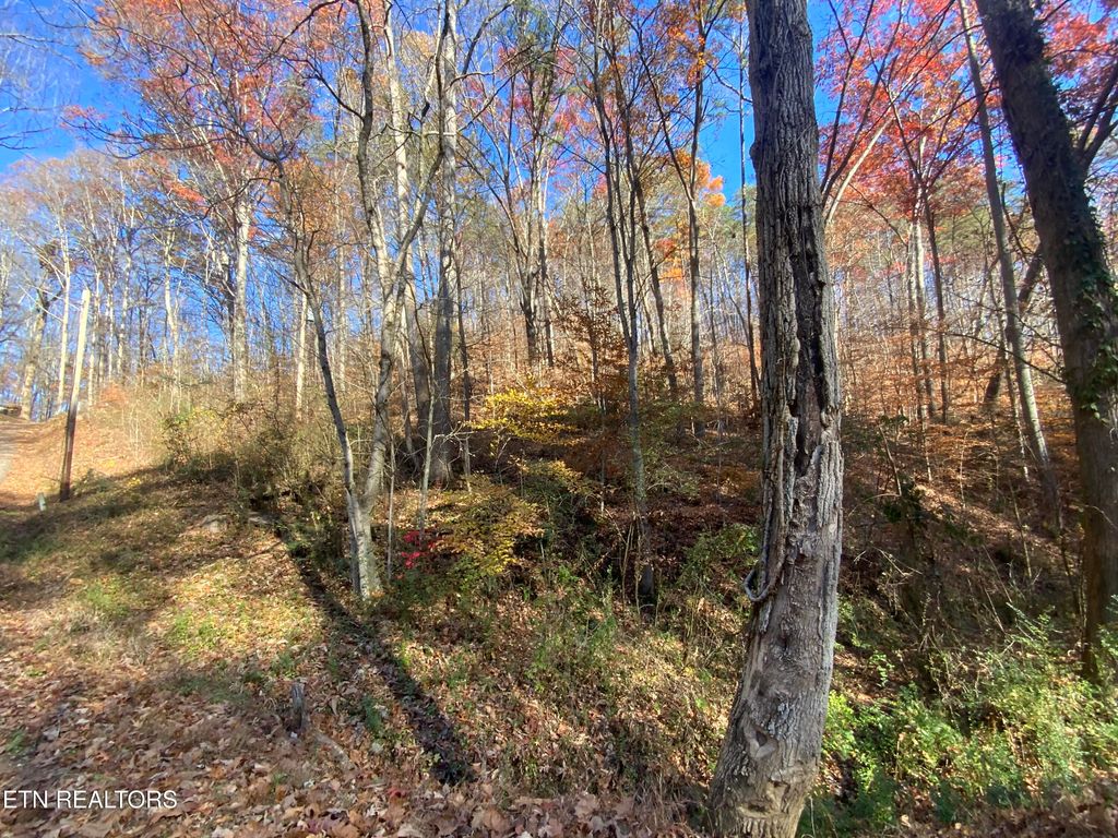 Photo of Mountain Side Lane, Rocky Top, TN 37769 (MLS # 1322039)