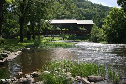 Tiny photo for Rafter Rd, Tellico Plains, TN 37385 (MLS # 1328801)