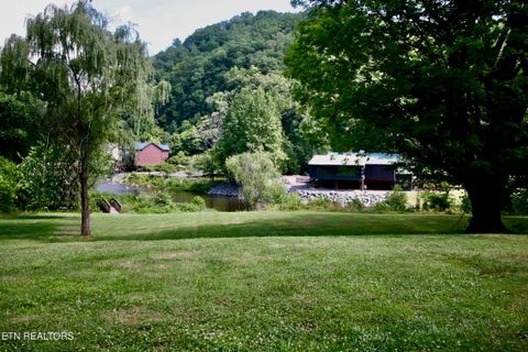 Tiny photo for Rafter Rd, Tellico Plains, TN 37385 (MLS # 1328801)