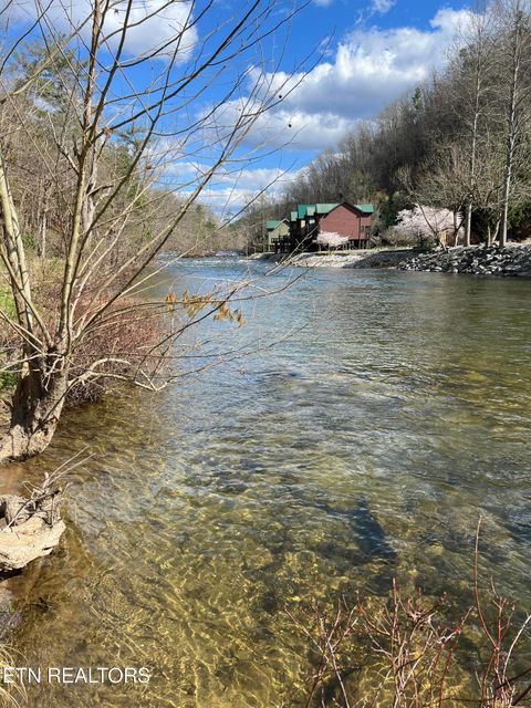 Tiny photo for Rafter Rd, Tellico Plains, TN 37385 (MLS # 1328801)