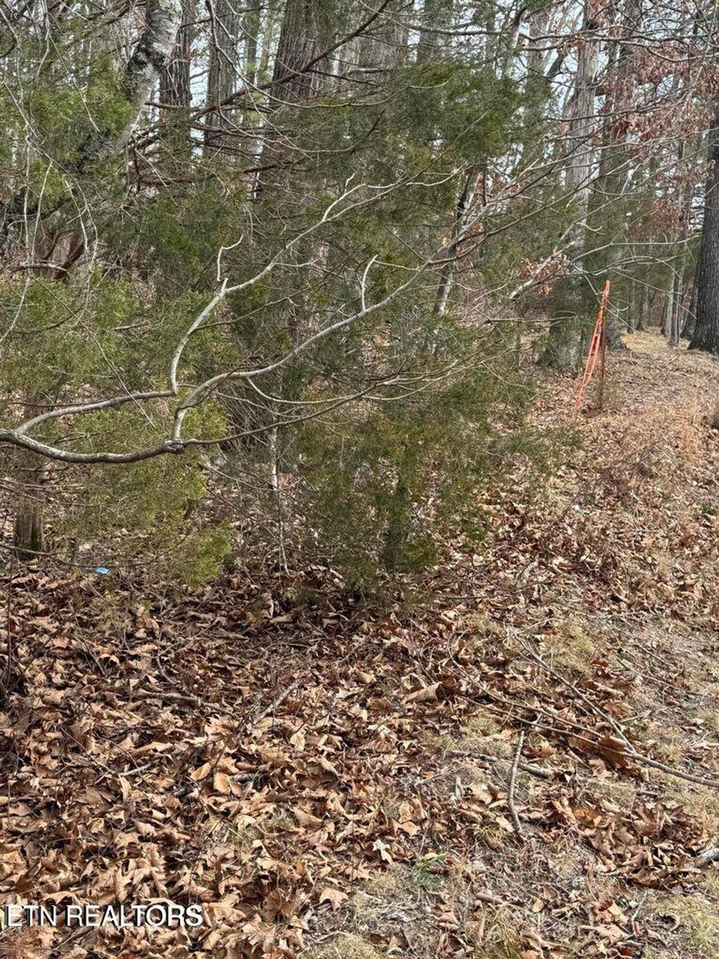 Photo of 321 Ritchey Rd, Loudon, TN 37774 (MLS # 1329543)