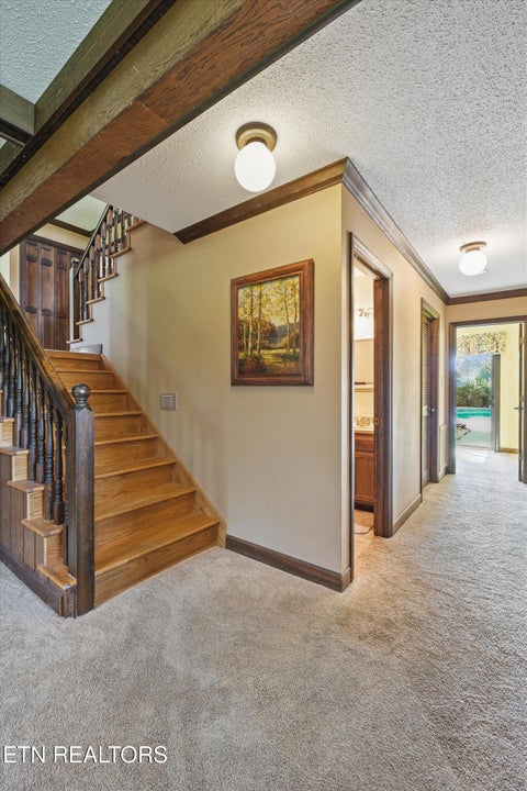 Tiny photo for 3098 Norris Fwy FWY, Andersonville, TN 37705 (MLS # 1359954)