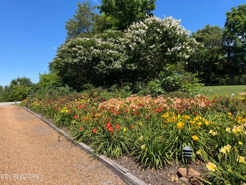 Tiny photo for 3098 Norris Fwy FWY, Andersonville, TN 37705 (MLS # 1359954)