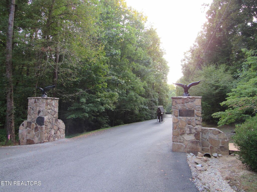 Photo of Chestnut Ridge Rd, Walland, TN 37886 (MLS # 1282348)