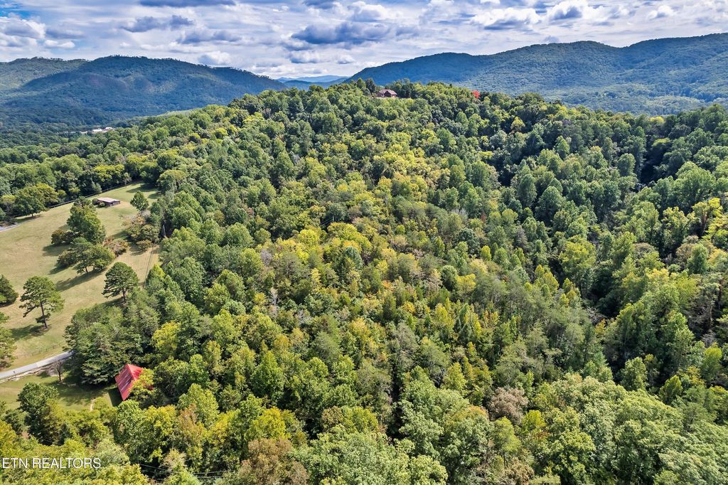 Photo of Chestnut Ridge Rd, Walland, TN 37886 (MLS # 1282348)