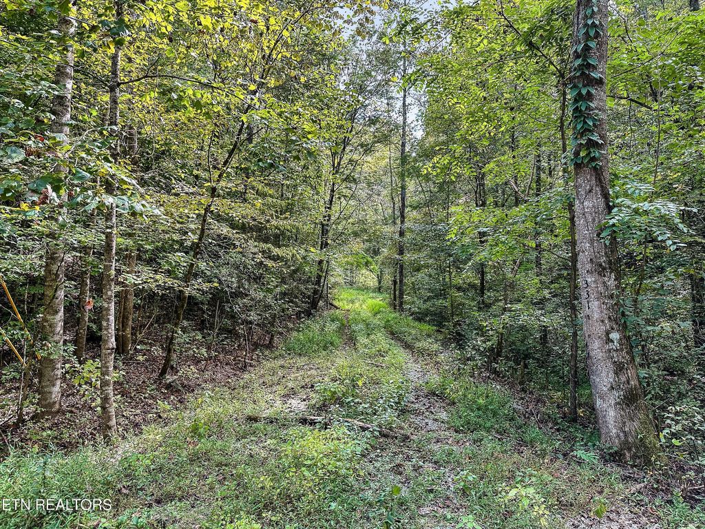 Photo of Chestnut Ridge Rd, Walland, TN 37886 (MLS # 1282348)