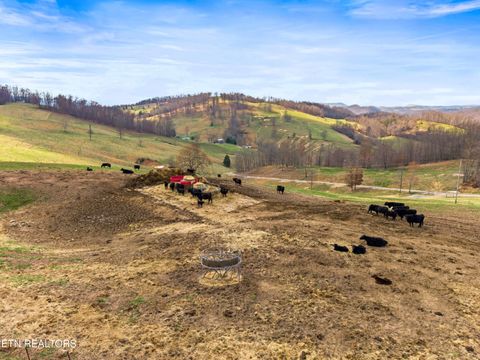 Tiny photo for Beech Grove Rd, Thorn Hill, TN 37881 (MLS # 1332734)