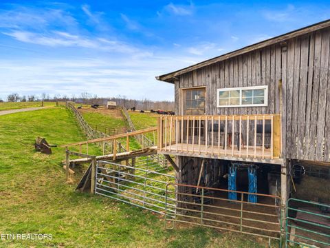 Tiny photo for Beech Grove Rd, Thorn Hill, TN 37881 (MLS # 1332734)