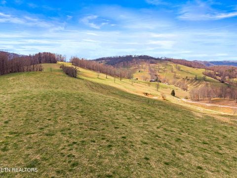 Tiny photo for Beech Grove Rd, Thorn Hill, TN 37881 (MLS # 1332734)