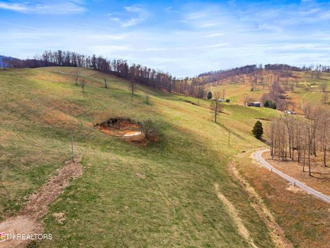 Tiny photo for Beech Grove Rd, Thorn Hill, TN 37881 (MLS # 1332734)