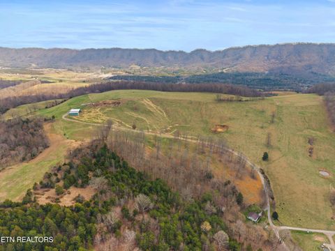 Tiny photo for Beech Grove Rd, Thorn Hill, TN 37881 (MLS # 1332734)