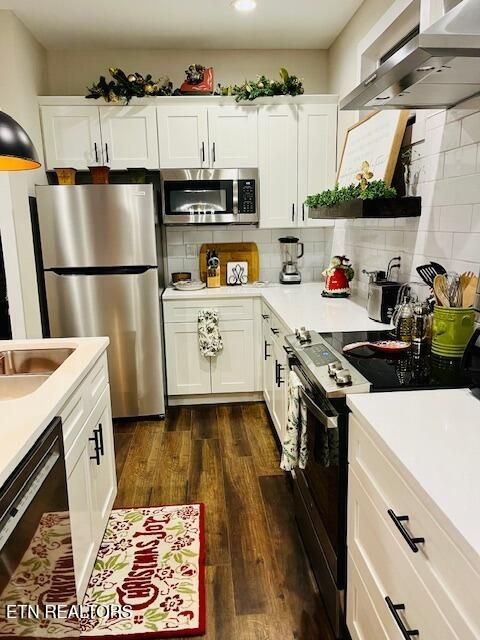 Tiny photo for 172 W Meeting St, Dandridge, TN 37725 (MLS # 1331364)